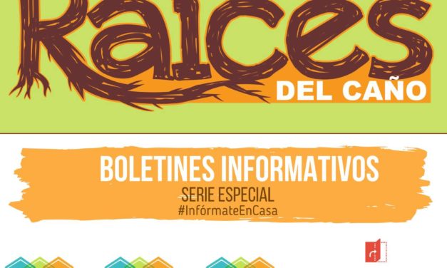 Boletín Raíces